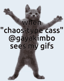 Big Chungus Oh Nana Cat GIF - Big Chungus Oh Nana Cat When Chaos Type Cass GIFs