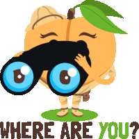 Where Are You Peach Life Sticker - Where Are You Peach Life Joypixels Stickers