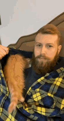 Sweatshirt Cat GIF - Sweatshirt Cat Love GIFs