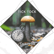 Ticktick Mushroom GIF - Ticktick Mushroom Clock GIFs