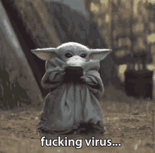 Star Wars Baby Yoda GIF - Star Wars Baby Yoda Fucking Virus GIFs
