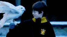 Hedwig Harrypotter GIF - Hedwig Harrypotter GIFs