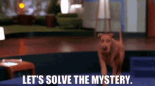 Scooby Doo Lets Solve The Mystery GIF - Scooby Doo Lets Solve The Mystery Solve The Mystery GIFs