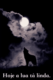 Hoje A Lua Tá Linda, Escuro, Lobo, Noite GIF - Fullmoon Wolf GIFs