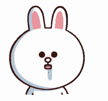Rabbit Drool GIF - Rabbit Drool Cute GIFs