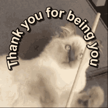 Thank You For Listening Gifs Tenor