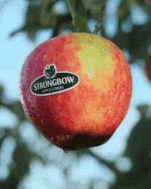 Cider Strongbow GIF - Cider Strongbow Apple Cider GIFs