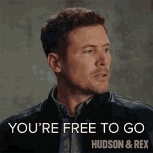 Youre Free To Go Charlie Hudson GIF - Youre Free To Go Charlie Hudson Hudson And Rex GIFs