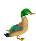 Duck Bird Sticker - Duck Bird Pixel Stickers