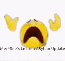 Nooo Item Asylum Update Be Like GIF - Nooo Item Asylum Update Be Like Update Sucks GIFs