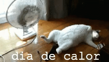dia de calor