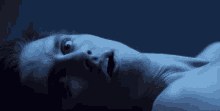 fear milo