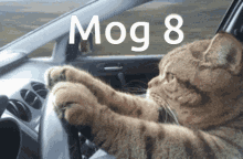 Mog Mog8 GIF - Mog Mog8 Rog GIFs