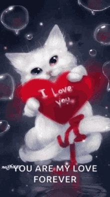You Are My Love Forever Kitten GIF - You Are My Love Forever Kitten I Love You GIFs