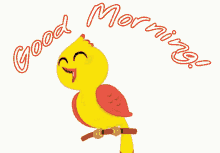 Good Morning Bird GIF - Good Morning Bird Sing GIFs