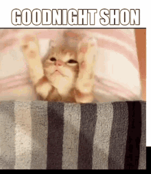 Goodnight Shon Sean GIF - Goodnight Shon Shon Sean GIFs