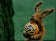Hartley Hare Pipkins GIF - Hartley Hare Pipkins Rabbit GIFs