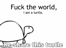 turtle fuck the world idc idgaf share