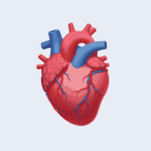 Cardiac Hill GIF - Cardiac Hill Cardiachill - Descubre & Comparte GIFs