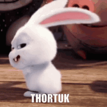 Thortuk Rabbit GIF - Thortuk Rabbit Bunny GIFs