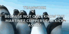 Best Team Teamwork GIF - Best Team Teamwork Penguins GIFs