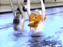 Synchronized Swimming Snl GIF - Synchronized Swimming Snl Harry Shearer GIFs