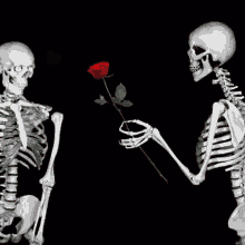 In Love Rose GIF - In Love Rose Skeleton GIFs
