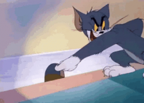 tom-and-jerry.gif