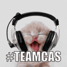teamcas cat headphones cat wearing headphones cat headphones