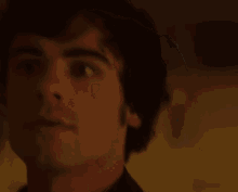 Scared Frightened GIF - Scared Frightened Terrify GIFs