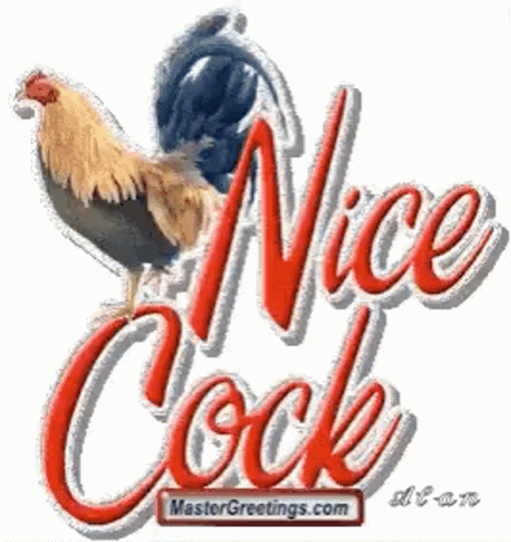 Nice cock tiktok