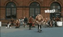 Macklemore What GIF - Macklemore What Thrift GIFs