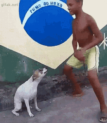 Dance Dog GIF - Dance Dog Brazil GIFs