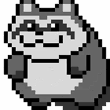 racoon panda