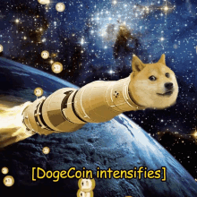 Dogecoin Wow GIF - Dogecoin Doge Wow GIFs