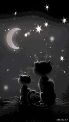 cats goodnight night