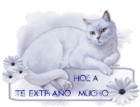 Hola Cat Sticker - Hola Cat Cute Stickers