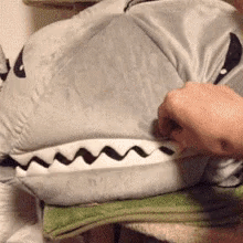 Shark Cat GIF - Shark Cat Surprise GIFs