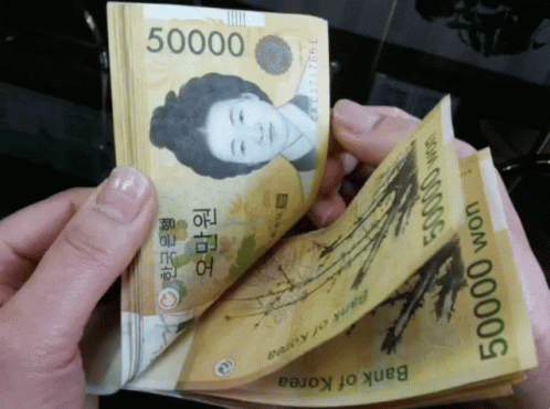 현금 오만원 돈 부자 용돈 GIF - Money Korea - Discover & Share GIFs