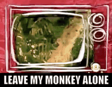 leave my monkey alone warren zevon 80s music dancepop new wave