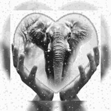 heart spirit elephant strength gif heart spirit elephant strength gif