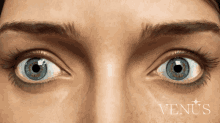 Wow Eyes GIF - Wow Eyes Venus GIFs