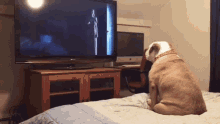Scared Scary GIF - Scared Scary Movie GIFs