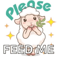 Please Sheep GIF - Please Sheep Lamb GIFs