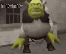 Meme Shrek GIF - Meme Shrek GIFs