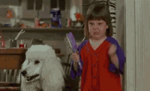 girl frustrated dog brush angry girl frustrated dog brush angry