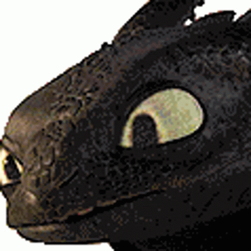 Httyd Alpha Httyd Alpha Toothless Discover Share Gifs How | The Best ...