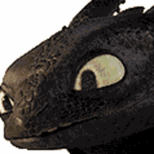 toothless slurp toothless tongue lick how to train your dragon