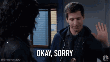 Sorry Okay Sorry GIF - Sorry Okay Sorry Jake Peralta GIFs