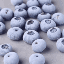 Blueberry Frozen GIF - Blueberry Frozen Timelapse GIFs